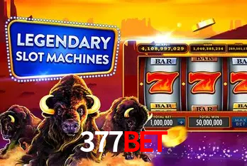 Ganhador 377Bet