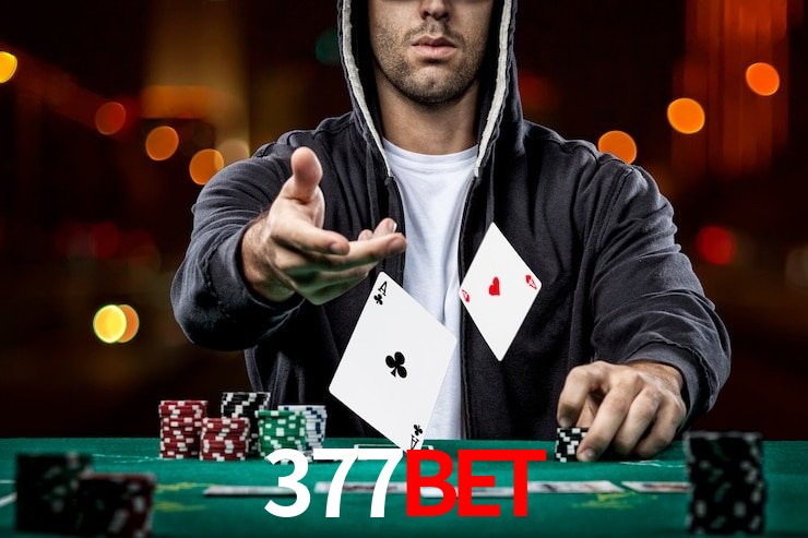 Níveis VIP 377Bet