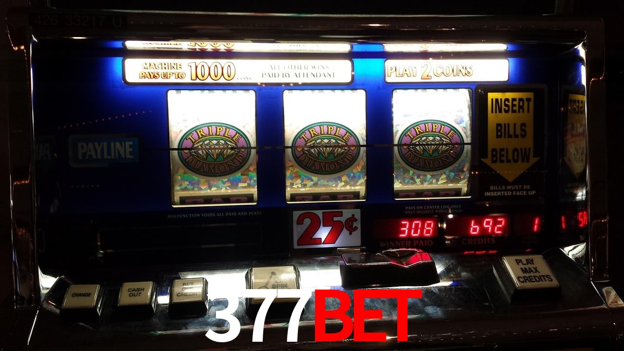 377Bet termos — contrato de uso e regulamento da plataforma